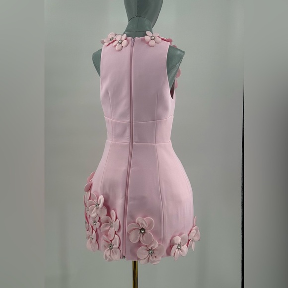 🆕 BRONX & BANCO 🧿 NWOT Estelle Floral Mini Dress, Blush Pink - Sz M US 6 - Picture 9 of 17